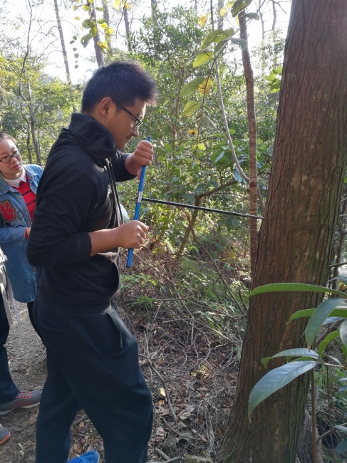 学生用年轮钻采集年轮芯 学生用年轮钻采集年轮芯