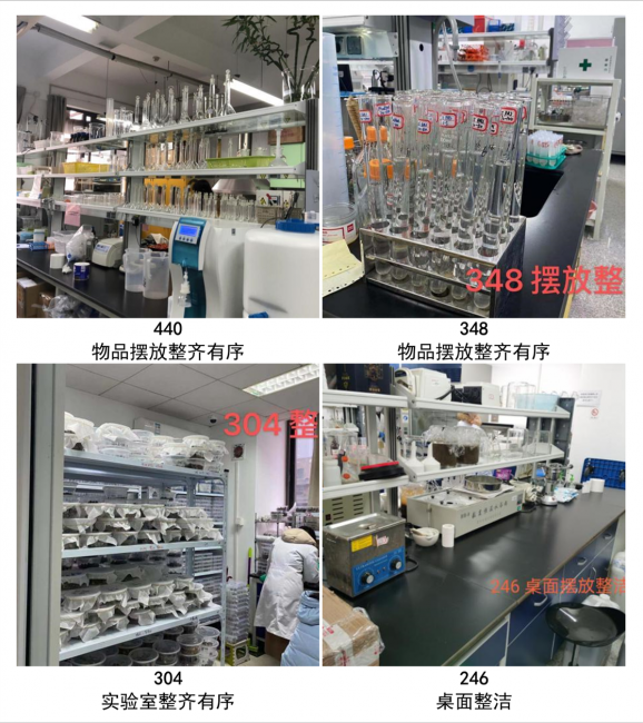图片12